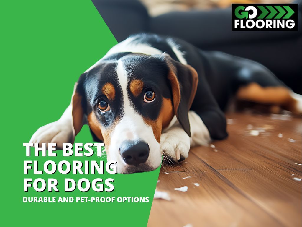 The Best Flooring for Dogs Durable and PetProof Options Go Flooring